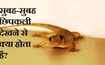 सुबह-सुबह छिपकली दिखना