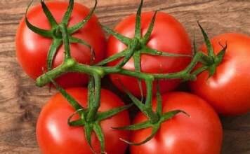 टमाटर खाने के फायदे
