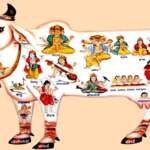 गाय को रोटी खिलाना