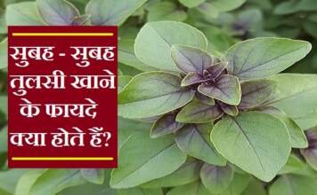 खाली पेट तुलसी फायदे