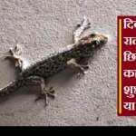 दिवाली की रात छिपकली का बोलना