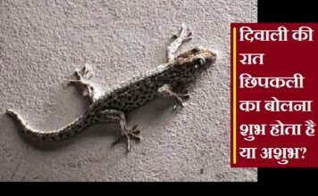 दिवाली की रात छिपकली का बोलना