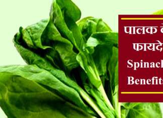 पालक के फायदे - Spinach Benefits