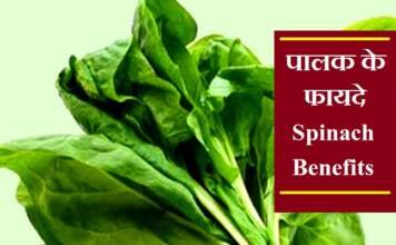 पालक के फायदे - Spinach Benefits