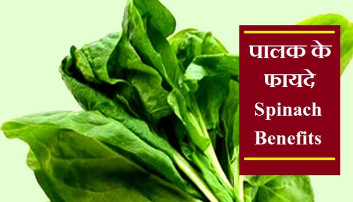 पालक के फायदे - Spinach Benefits