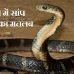 सपने में सांप देखना