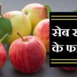 सेब खाने के फायदे