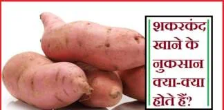 शकरकंद खाने के नुकसान