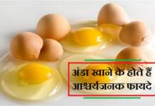 अंडा खाने के फायदे