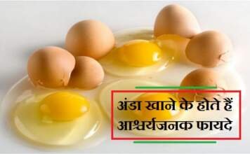 अंडा खाने के फायदे
