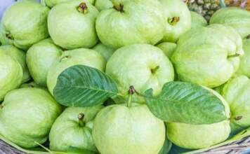 अमरूद खाने के फायदे