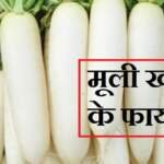 मूली खाने के फायदे