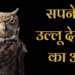 सपने में उल्लू देखने का मतलब