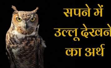 सपने में उल्लू देखने का मतलब