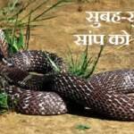 सुबह सांप को देखना