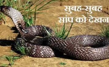 सुबह सांप को देखना