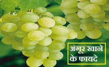 अंगूर खाने के फायदे