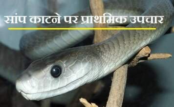 सांप काटने पर उपचार