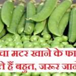 कच्चा मटर खाने के फायदे होते हैं बहुत