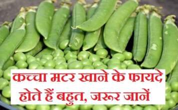 कच्चा मटर खाने के फायदे होते हैं बहुत