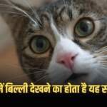Sapne me Billi Dekhna