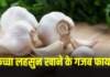 लहसुन के फायदे