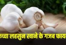 पुरुषों के लिए लहसुन के फायदे होते हैं जबरदस्त, ऐसे खाएंगे तो मिलेगा फायदा लहसुन के फायदे