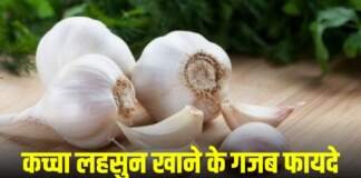 लहसुन के फायदे