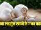 लहसुन के फायदे